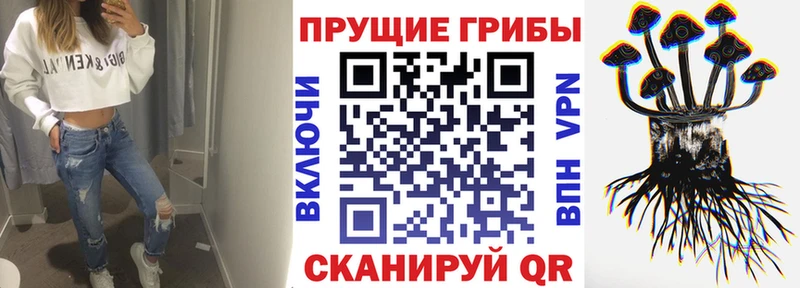 shop как зайти  закладки  Кондрово  Псилоцибиновые грибы прущие грибы 